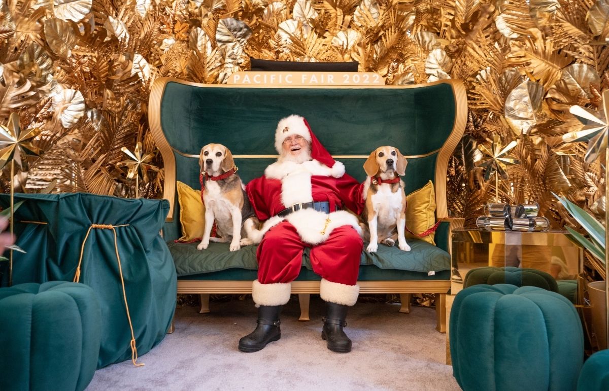 Santa Paw-Traits at Pacific Fair